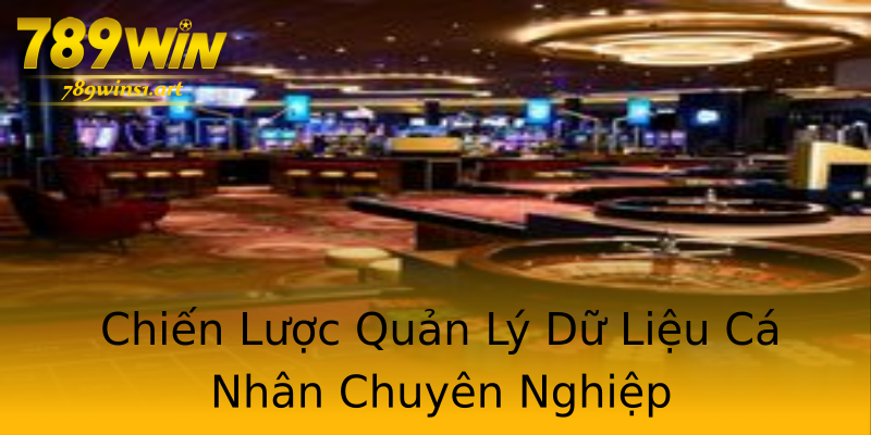 Chiến Lược Quản Lý Dữ Liệu Cá Nhân Chuyên Nghiệp Chiến Lược Quản Lý Dữ Liệu Cá Nhân Chuyên Nghiệp
