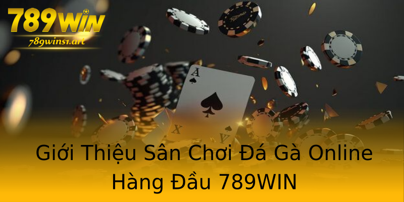 Giới Thiệu Sân Chơi Đá Gà Online Hàng Đầu 789WIN Giới Thiệu Sân Chơi Đá Gà Online Hàng Đầu 789WIN