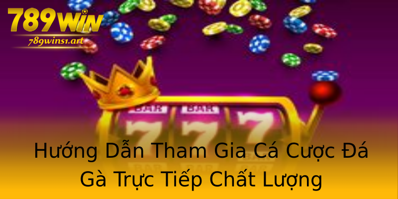 Hướng Dẫn Tham Gia Cá Cược Đá Gà Trực Tiếp Chất Lượng Hướng Dẫn Tham Gia Cá Cược Đá Gà Trực Tiếp Chất Lượng