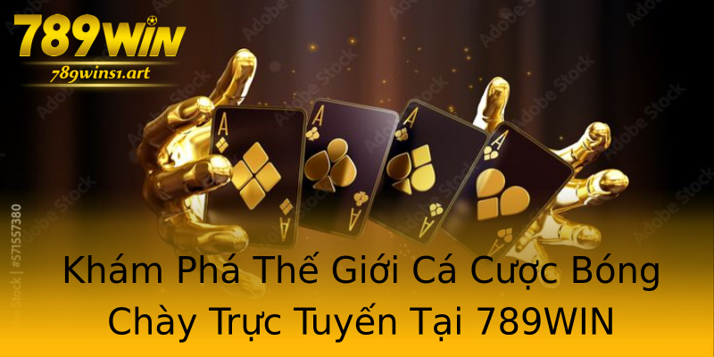 Khám Phá Thế Giới Cá Cược Bóng Chày Trực Tuyến Tại 789WIN Khám Phá Thế Giới Cá Cược Bóng Chày Trực Tuyến Tại 789WIN