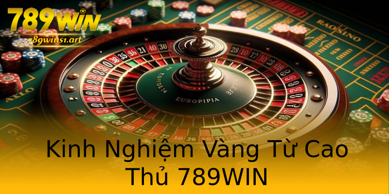 Kinh Nghiệm Vàng Từ Cao Thủ 789WIN Kinh Nghiệm Vàng Từ Cao Thủ 789WIN