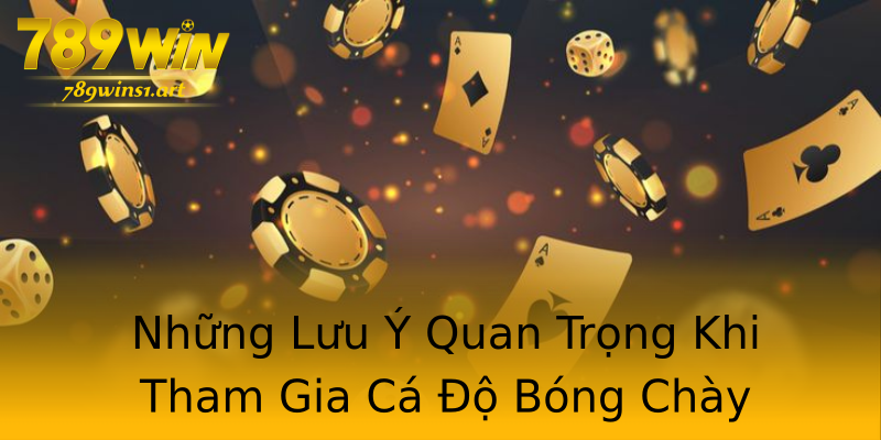Những Lưu Ý Quan Trọng Khi Tham Gia Cá Độ Bóng Chày Những Lưu Ý Quan Trọng Khi Tham Gia Cá Độ Bóng Chày