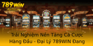 Trai Nghiem Nen Tang Ca Cuoc Hang Au Ai Ly 789Win Ang Cho Ban